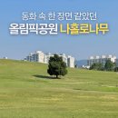동화 속 한 장면 같았던 몽촌토성 올림픽공원 나홀로나무
