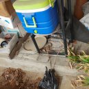 정임농장 이미지