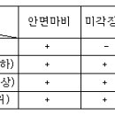 구안와사/벨마비의 증상 이미지