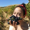 영상농장 이미지