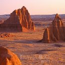 [시민교육]힐링 포레스트 이미지