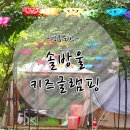 강릉아기랑 캠핑(글램핑)하기 좋은 곳 연곡 솔방울(키즈펜션)