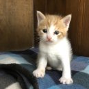 남부골목시장 이미지