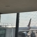 무지개약수터 | 11월의 제주도(픽업카페, 자구리공원, 물영아리오름, 제주돗, 잉가이)