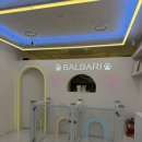 BALBARI(발바리) 이미지