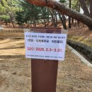 남양주시 홍릉, 유릉, 사릉 탐방 걷기 이미지
