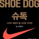 스테디독 이미지