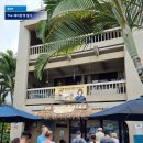 하와이 빅아일랜드 여행 하와이 맛집 다포케쉑과 Pahoehoe Beach Park