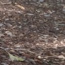 삼죽농장 이미지