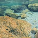 숲속농원민박 이미지