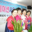 맥섬석의료기 이미지