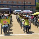 칠성초등 이미지