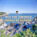 부산 기장 가볼만한곳 해동용궁사 포함 부산 여행코스