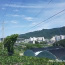 약대울 물놀이장[평내-3] 이미지