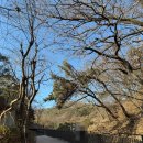 청계산 공영주차장 | 겨울산행 청계산 등산코스 시간 초보 추천 매봉코스 청계산청룡공영주차장 정보