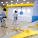 브레인박사태권도 이미지