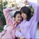 파일럿 Daum카페