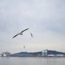 24시약국 이미지