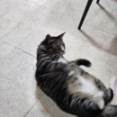 동부다방 이미지