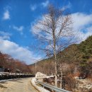 우곡성지 내 이미지