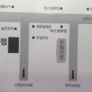 우림두꺼비