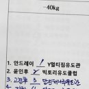 당진 유도관 이미지