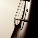 대원모터스 이미지