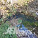 추사로55번길 네이버블로그