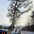 고래등어린이집 | 원주 고래호수 뷰 좋고 독특한 베이커리 대형카페