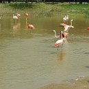 순천만국가정원 에코지오카페 이미지