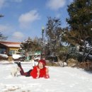 영산나루 이미지