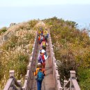 오서산산촌생태마을 이미지