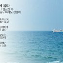해운대에 올라 Daum카페