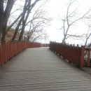 버드나루로 이미지