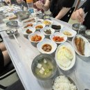 강원도 양구 현장체험 활동 후기