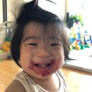 쓰고있는 육아아이템 2. 이유식편 - 초기부터 후기까지 사용해보고 남기는 솔직한 이유식준비물, 쌍둥이...