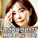 갱년기 유산균 YT1, 숨겨진 효능 6가지! 나잇살·장건강까지 한 번에? 이미지