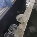 모아크리닝 네이버블로그