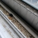 두꺼비세탁 | 마포구 입주청소 100% 고객님 실제 후기