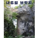 (주)네추럴브릿지