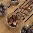 티소믈리에 양성과정 이미지