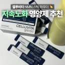 나드 | 저속노화 루틴 시작, 나드 활성제 셀루비타 후기