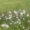 그늘과 빛의 기억 이미지