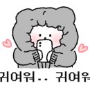 카페시율 이미지