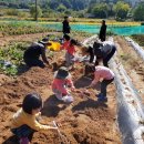 꿈의어린이집 이미지