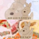 둥이네닭갈비 | 먹고 먹고 또 먹고, 수타사 맛집 홍천 닭갈비 ‘둥이네닭갈비’ 후기
