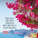 피누스스토어온새미로 이미지
