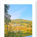 대청호오백리길 두메마을길 | 2025년 가을 산책 - 대청호 오백리 제1구간 두메 마을길 이현동에서 갈전동까지 [2025.11.07]