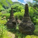 공공 행정사사무소 이미지