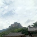 연종보감 이미지